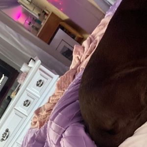 Meet your Posher, Gerard